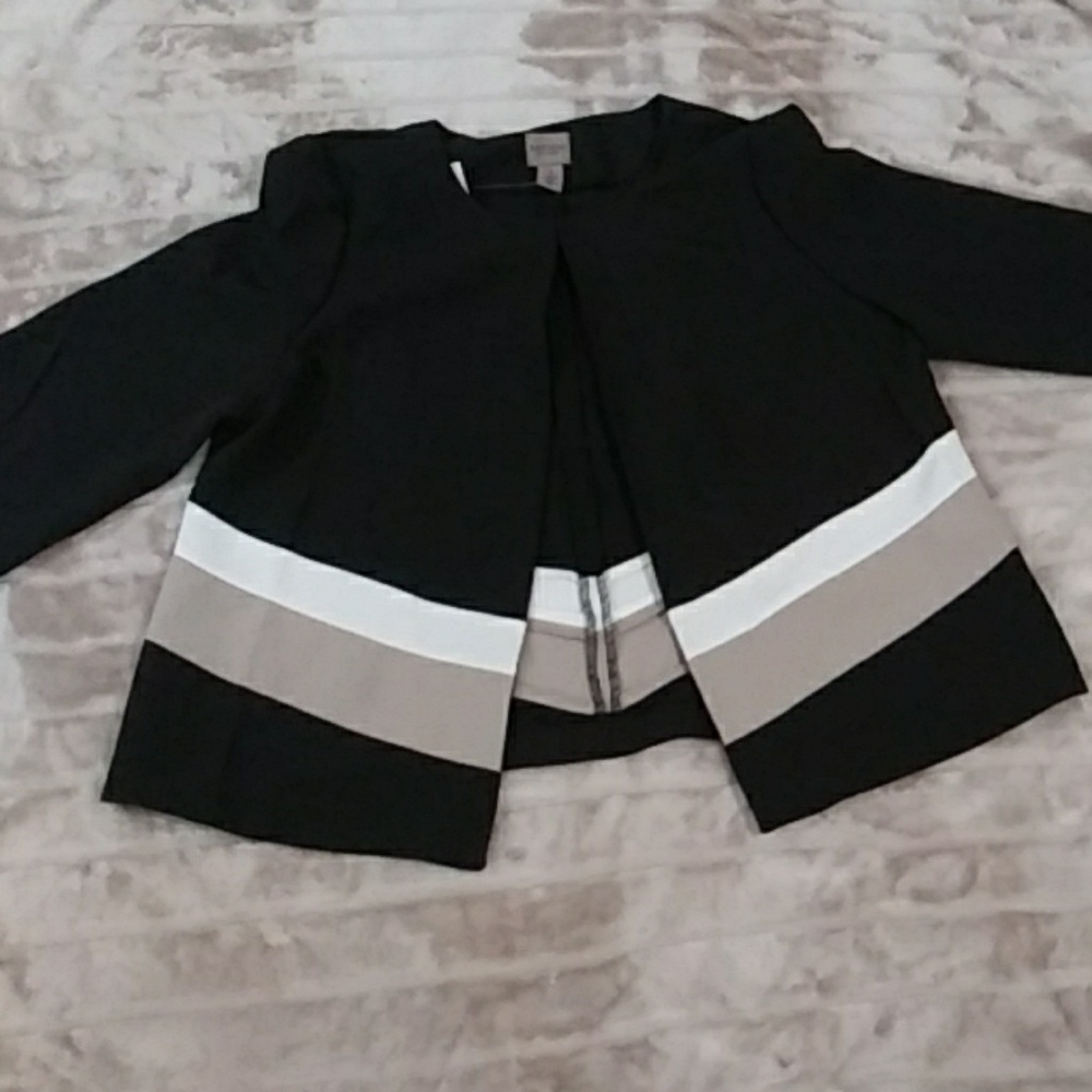 🆕 Chico's Easywear Colorblock Blazer